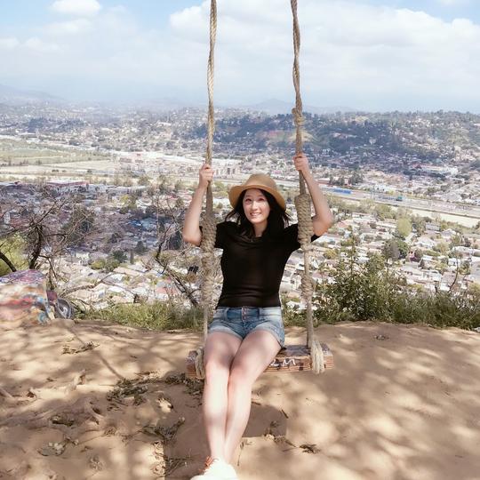 Elysian Park Secret Swing in Los Angeles, CA (41 Photos)